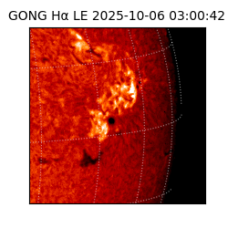 gong - 2025-10-06T03:00:42