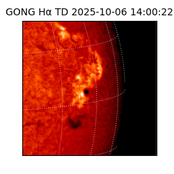 gong - 2025-10-06T14:00:22