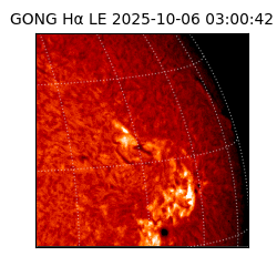 gong - 2025-10-06T03:00:42