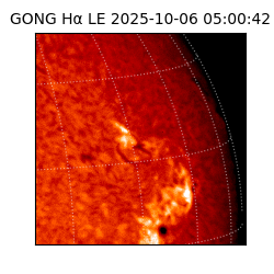 gong - 2025-10-06T05:00:42