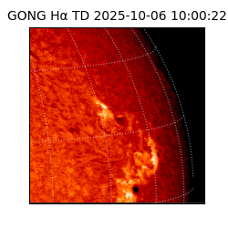 gong - 2025-10-06T10:00:22