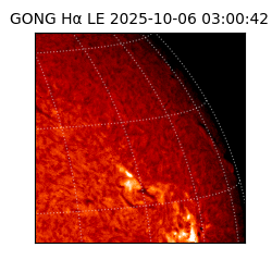 gong - 2025-10-06T03:00:42
