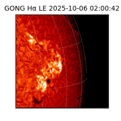 gong - 2025-10-06T02:00:42