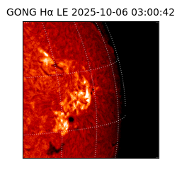 gong - 2025-10-06T03:00:42
