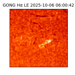 gong - 2025-10-06T06:00:42