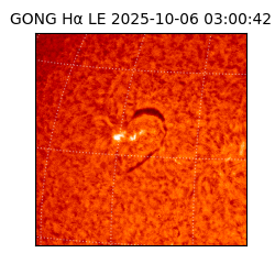 gong - 2025-10-06T03:00:42