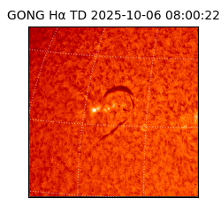 gong - 2025-10-06T08:00:22