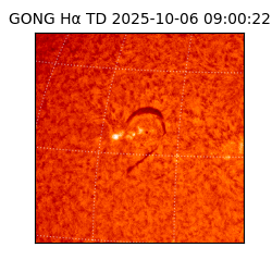 gong - 2025-10-06T09:00:22