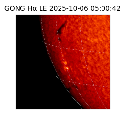 gong - 2025-10-06T05:00:42