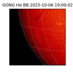 gong - 2025-10-06T19:00:02