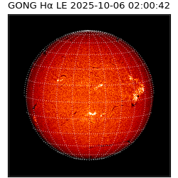 gong - 2025-10-06T02:00:42