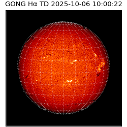 gong - 2025-10-06T10:00:22