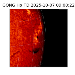gong - 2025-10-07T09:00:22