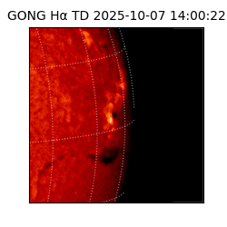 gong - 2025-10-07T14:00:22
