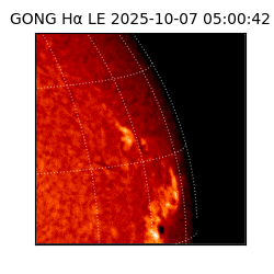 gong - 2025-10-07T05:00:42