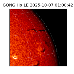 gong - 2025-10-07T01:00:42
