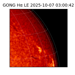 gong - 2025-10-07T03:00:42