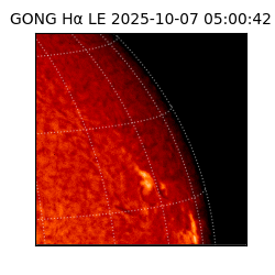 gong - 2025-10-07T05:00:42