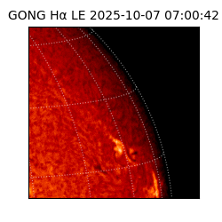 gong - 2025-10-07T07:00:42