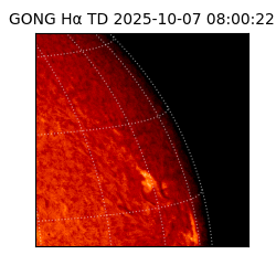 gong - 2025-10-07T08:00:22