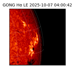 gong - 2025-10-07T04:00:42