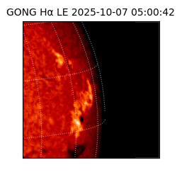 gong - 2025-10-07T05:00:42