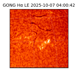 gong - 2025-10-07T04:00:42