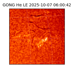 gong - 2025-10-07T06:00:42