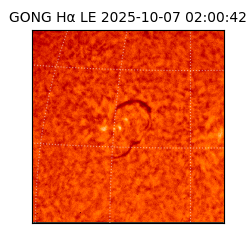 gong - 2025-10-07T02:00:42