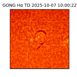 gong - 2025-10-07T10:00:22