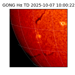gong - 2025-10-07T10:00:22