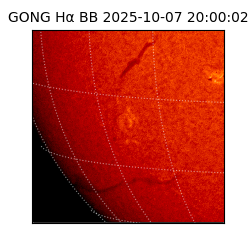 gong - 2025-10-07T20:00:02