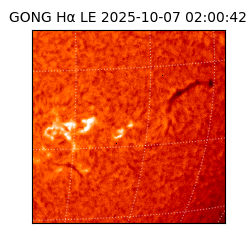 gong - 2025-10-07T02:00:42