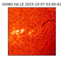 gong - 2025-10-07T03:00:42