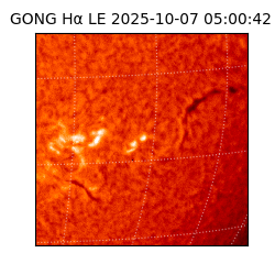 gong - 2025-10-07T05:00:42