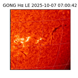 gong - 2025-10-07T07:00:42