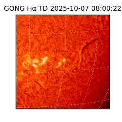 gong - 2025-10-07T08:00:22