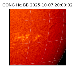gong - 2025-10-07T20:00:02