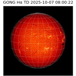 gong - 2025-10-07T08:00:22
