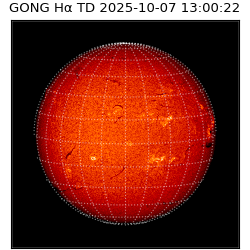 gong - 2025-10-07T13:00:22