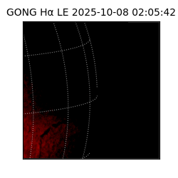 gong - 2025-10-08T02:05:42