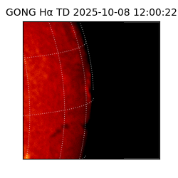 gong - 2025-10-08T12:00:22