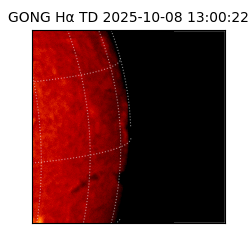 gong - 2025-10-08T13:00:22