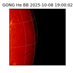 gong - 2025-10-08T19:00:02