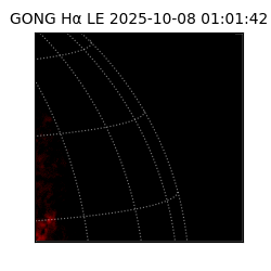 gong - 2025-10-08T01:01:42