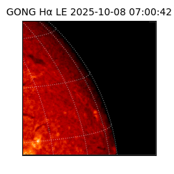 gong - 2025-10-08T07:00:42