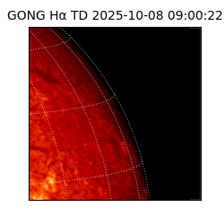 gong - 2025-10-08T09:00:22