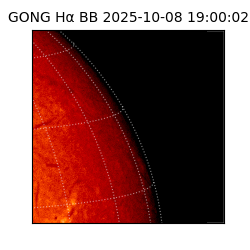 gong - 2025-10-08T19:00:02