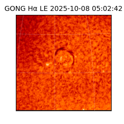 gong - 2025-10-08T05:02:42