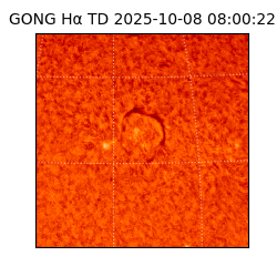 gong - 2025-10-08T08:00:22